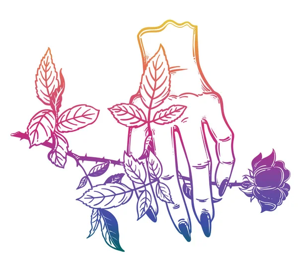 Linear art of a stylized female human hand holding a rose.