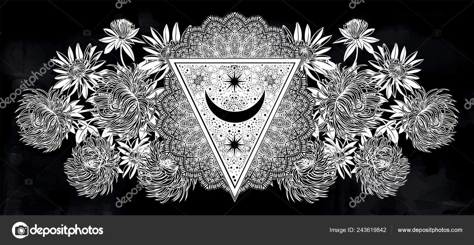 Composition De Fleurs Floraison Chrysanthème Ou Aster Avec