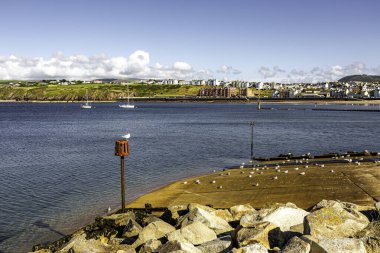 Peel Isle of Man 08,15,2023 Rocky kıyı şeridi ve arka planda bir su kütlesi. Bir kuş, Man Adası 'nın yanındaki bir direğe tünemiş. -