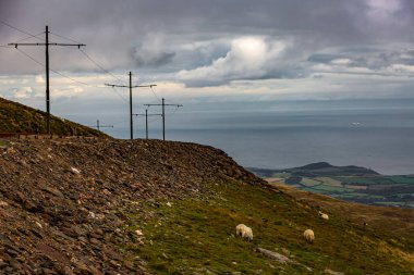 Douglas, Man Adası 08.05.2023 koyun sürüsü bir su kütlesinin yanındaki yamaçta otluyor. Gökyüzü bulutlu ve yeryüzü kayalık ve çorak Man Adası -