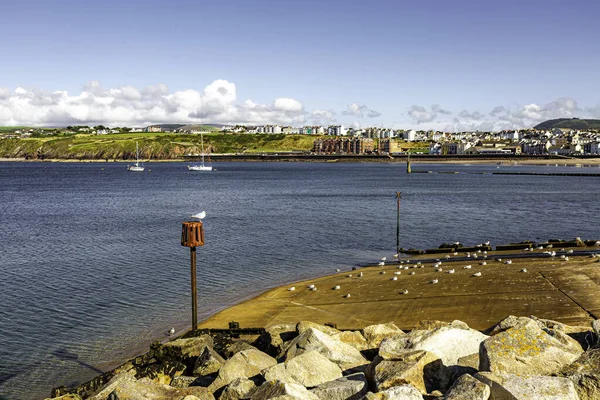 Peel Isle of Man 08,15,2023 Rocky kıyı şeridi ve arka planda bir su kütlesi. Bir kuş, Man Adası 'nın yanındaki bir direğe tünemiş. -