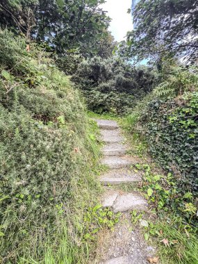 Douglas, Man Adası 08.05.2023 yolu ve tepeye çıkan taş bir merdiven. Yol çalılar ve ağaçlarla çevrili. Man Adası. -