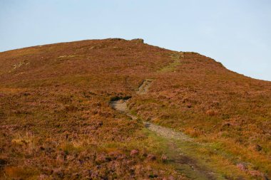 Douglas, Man Adası 08.05.2023 Yolu kırmızı çiçek tarlasından geçiyor. Gökyüzü açık ve güneş parıl parıl parlıyor Man Adası -
