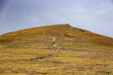 Douglas, Man Adası 08.05.2023 Tepe tarafı sarı çimenler ve mor çiçeklerle kaplı. Tepe sarımsı turuncu renkte bir Man Adası ile kaplıdır. -