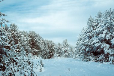     Ocak ayının soğuk gün