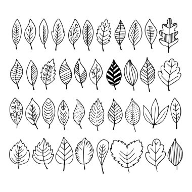 Zarif ve güzel sonbahar yaprakları ve öğeleri. Şükran günü için parlak görüntüler