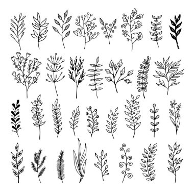 Doodle tarzı - çiçek ve yaprakları çiçek öğeleri vektör. Tebrik kartları, düğün tasarımlar veya davetler için yaz çiçek.