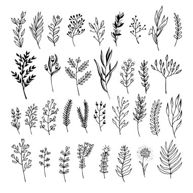 Doodle tarzı - çiçek ve yaprakları çiçek öğeleri vektör. Tebrik kartları, düğün tasarımlar veya davetler için yaz çiçek.