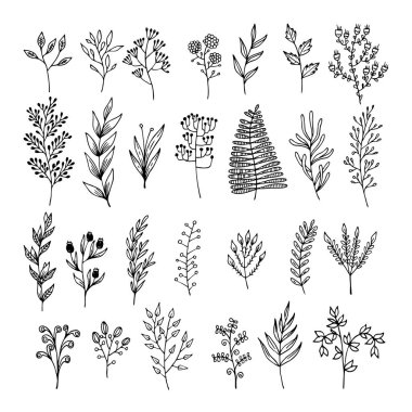 Doodle tarzı - çiçek ve yaprakları çiçek öğeleri vektör. Tebrik kartları, düğün tasarımlar veya davetler için yaz çiçek.