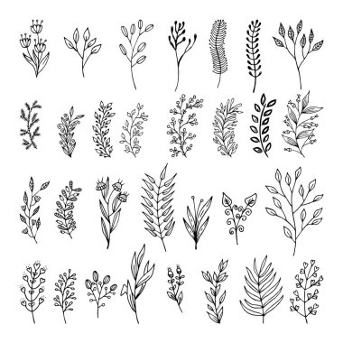 Doodle tarzı - çiçek ve yaprakları çiçek öğeleri vektör. Tebrik kartları, düğün tasarımlar veya davetler için yaz çiçek.