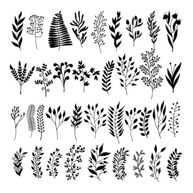 Doodle tarzı - çiçek ve yaprakları çiçek öğeleri vektör. Tebrik kartları, düğün tasarımlar veya davetler için yaz çiçek.