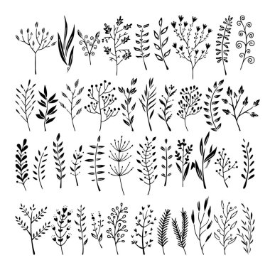 Doodle tarzı - çiçek ve yaprakları çiçek öğeleri vektör. Tebrik kartları, düğün tasarımlar veya davetler için yaz çiçek.