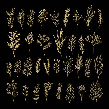 Doodle tarzı - çiçek ve yaprakları çiçek öğeleri vektör. Tebrik kartları, düğün tasarımlar veya davetler için yaz çiçek.