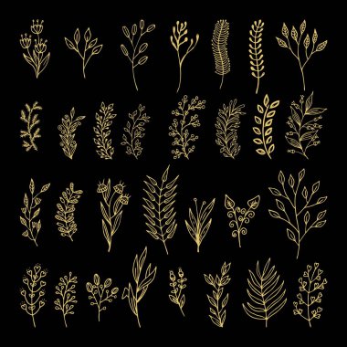 Doodle tarzı - çiçek ve yaprakları çiçek öğeleri vektör. Tebrik kartları, düğün tasarımlar veya davetler için yaz çiçek.