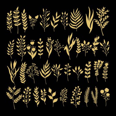 Doodle tarzı - çiçek ve yaprakları çiçek öğeleri vektör. Tebrik kartları, düğün tasarımlar veya davetler için yaz çiçek.