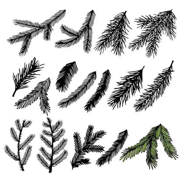 Hand Drawn Christmas Trees Winter Holiday Illustrations — Stock Vector