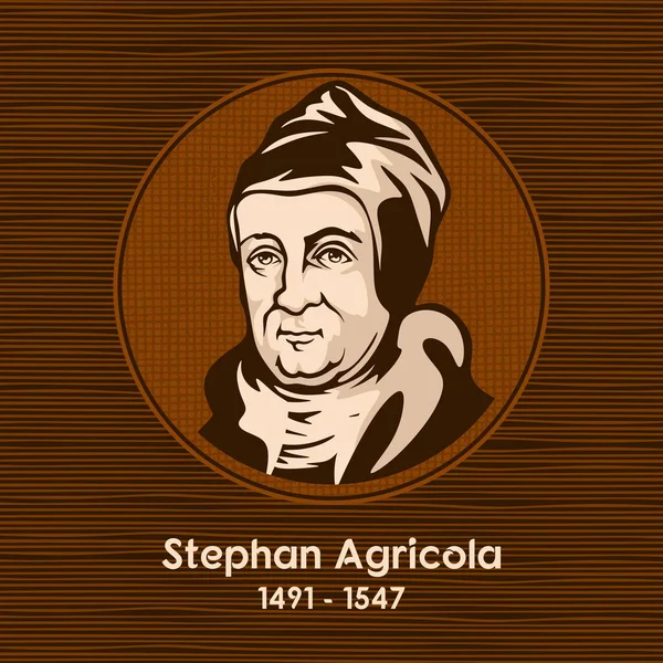 Stephan Agricola 1491 1547 Lüteriyen Kilise Reformcusu — Stok Vektör