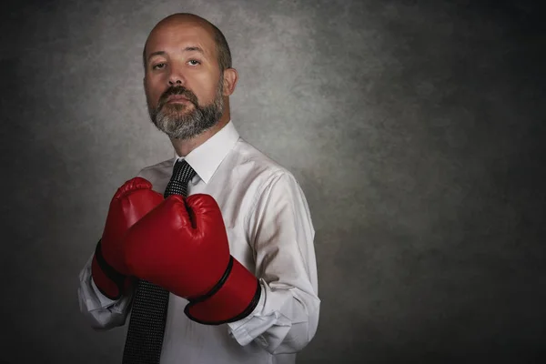 Businessman In red Boxing Gloves on gray background