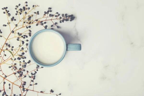 Szklanka mleka obok gałęzi — Zdjęcie stockowe