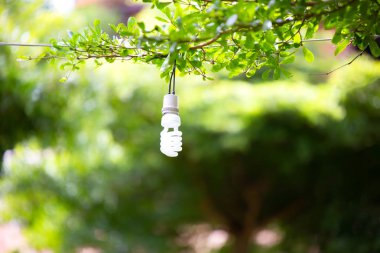 Güç tasarrufu konsepti. Işık Yayan Diyot ( Led ) ampul spiral kompakt floresan (Cfl) ampuller copyspace için bulanıklık yeşil yaprakları arka plan ile ağaç asmak.