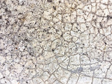 ormanda güzel şelaleler.