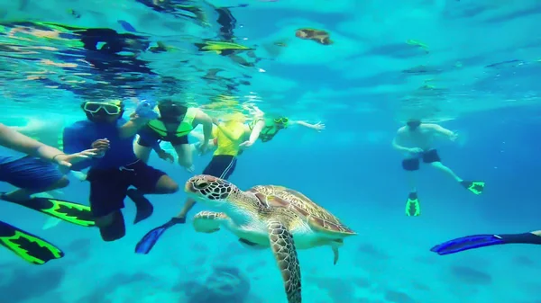 Zielony Żółw Morzu Powierzchni Similan Tajlandia — Zdjęcie stockowe