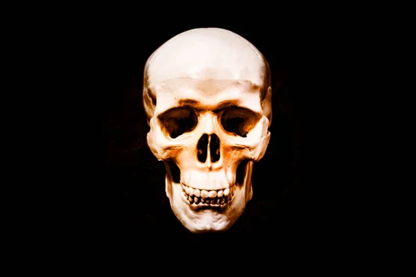 人类的头颅骨与黑色背景 — 图库照片
