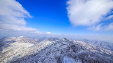 Dağlarda karla kaplı ağaçlarla kaplı güzel bir manzara.
