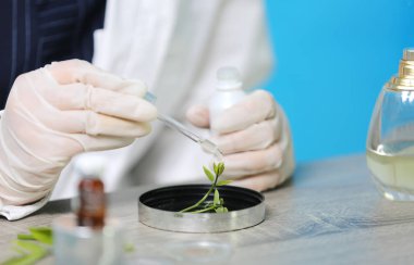 Doğal organik botanik ve bilimsel cam üzerinde Biyokimya uzman deney, Alternatif bitki tıp, Doğal cilt bakım güzellik ürünleri, Araştırma ve geliştirme kavramı.