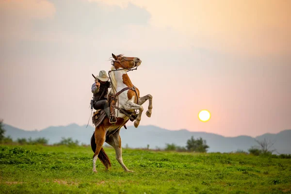 カウボーイと馬が自然光を背景に光と山と川と生活を始め — ストック写真