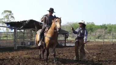 Kovboylar çitte atları olan çiftlikte çalışıyorlar..