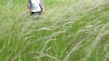 Kadın elini çimenlerin üzerinden geçirir ve tarlada yürürken ona dokunur. 