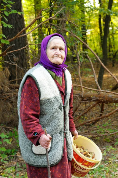 Yaşlı bir kadın, mantar üreticisi, ayakta duruyor ve elinde satılık mantar dolu bir kova tutuyor. 25 Haziran 2018. Bilki Köyü, Ukrayna
