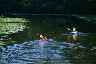 Nehirde yüzen iki kano, kürek çeken adamlar.