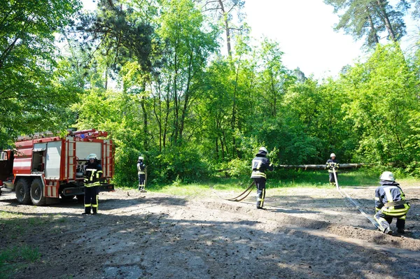 İtfaiye aracı park etmiş, itfaiyeciler yangın söndürme ekipmanlarını kullanıma hazırlıyor. 5 Haziran 2019. 2019. Kievskaya oblast, Ukrayna