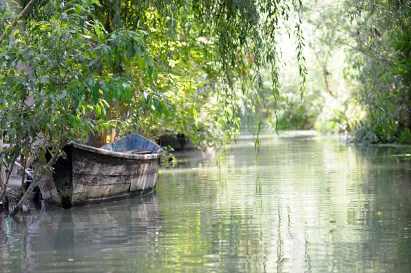 Vilkovo köyünün (Ukrayna Venedik) kanalı manzaralı bir teknesi demirli. 22 Haziran 2018. Vilkovo Köyü, Ukrayna