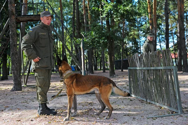 Canine Centre Training Police Dog German Shepherd Jumping Barrier Handler — Stock Photo, Image