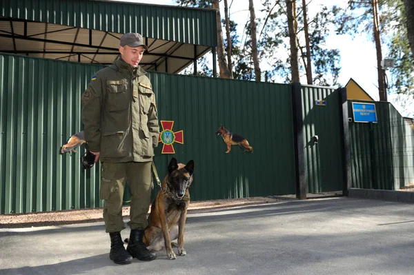 Police Handler His Dog German Shepherd Standing Front Entrance Canine — Stock Photo, Image