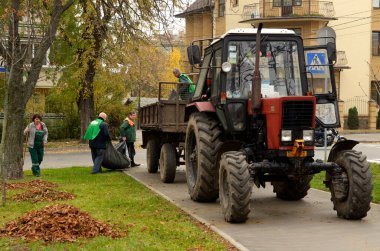 Temizlik parkları: belediye temizleyicileri bir traktör römorkuna yaprak yığını yüklüyorlar. 21 Ekim 2017. Park Nivki. Kiev, Ukrayna