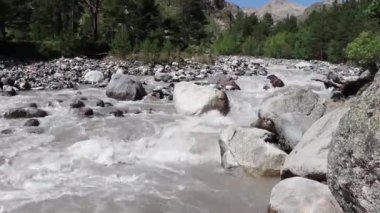 Büyük dağ nehri taşların arasından akar. Nehir Elbrus dağından akar. Kafkaslar, Rusya