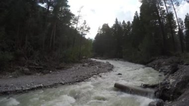 Büyük dağ kıvrımlı nehir ormanda taşların arasından akar. Dereler Elbrus Dağı Kafkasya Rusya 'dan akıyor