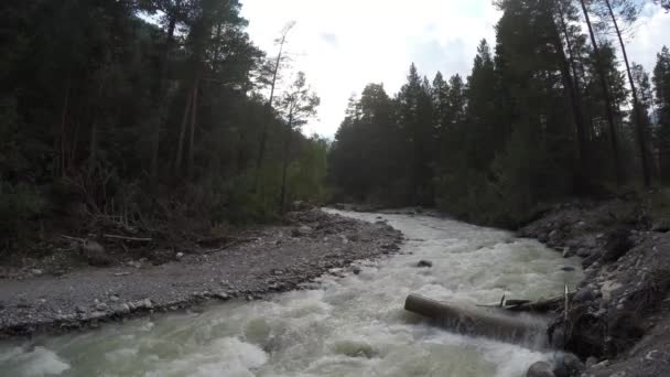 Stora Berg Virvlande Flod Rinner Mellan Stenar Genom Skogen Strömmen — Stockvideo