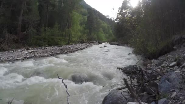 Büyük Dağ Kıvrımlı Nehir Ormanda Taşların Arasından Akar Dereler Elbrus — Stok video