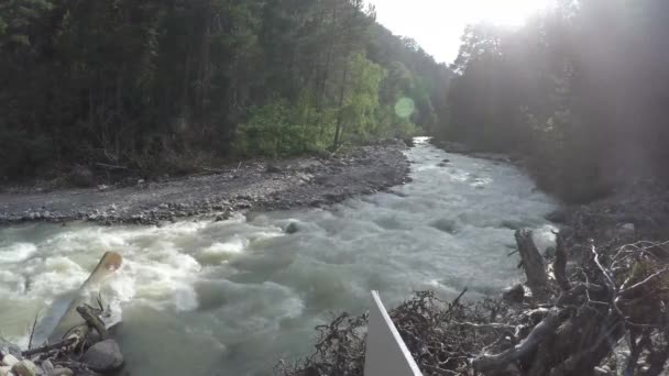 Nagy Kavargó Hegyi Folyó Folyik Kövek Között Erdőben Áramlás Folyik — Stock videók