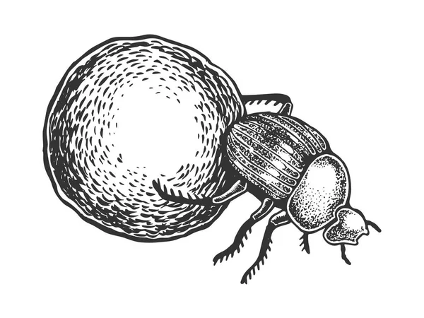 Dor bug besouro gravura vetor ilustração — Vetor de Stock