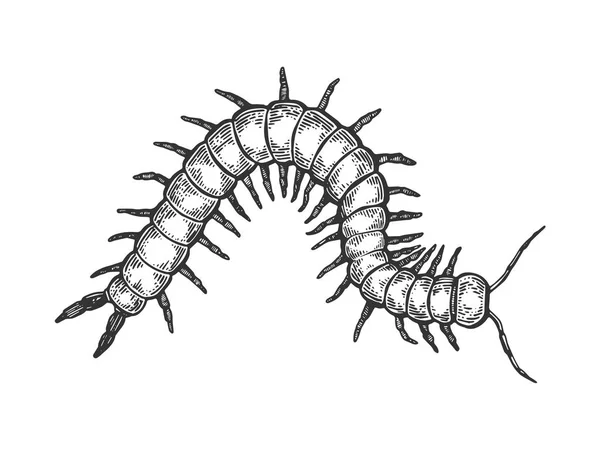 Scolopendra insekt gravur vektor illustration — Stockvektor