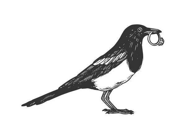 Uccello gazza con anello dorato vettore incisione — Vettoriale Stock