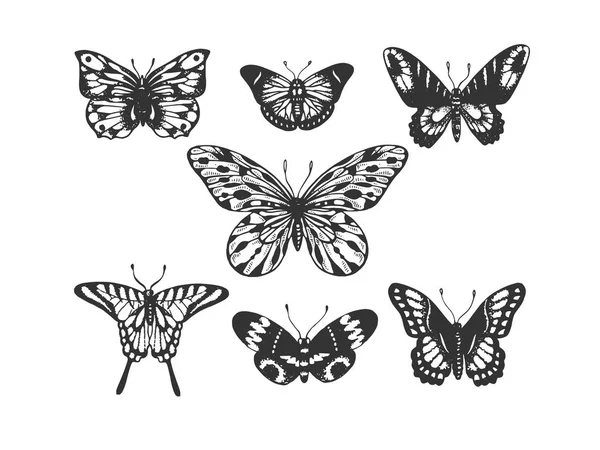 Vlinder insect dierlijke gravure vector — Stockvector