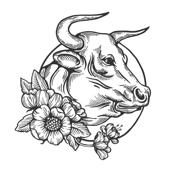 Bull zvířat gravírování vektor — Stockový vektor