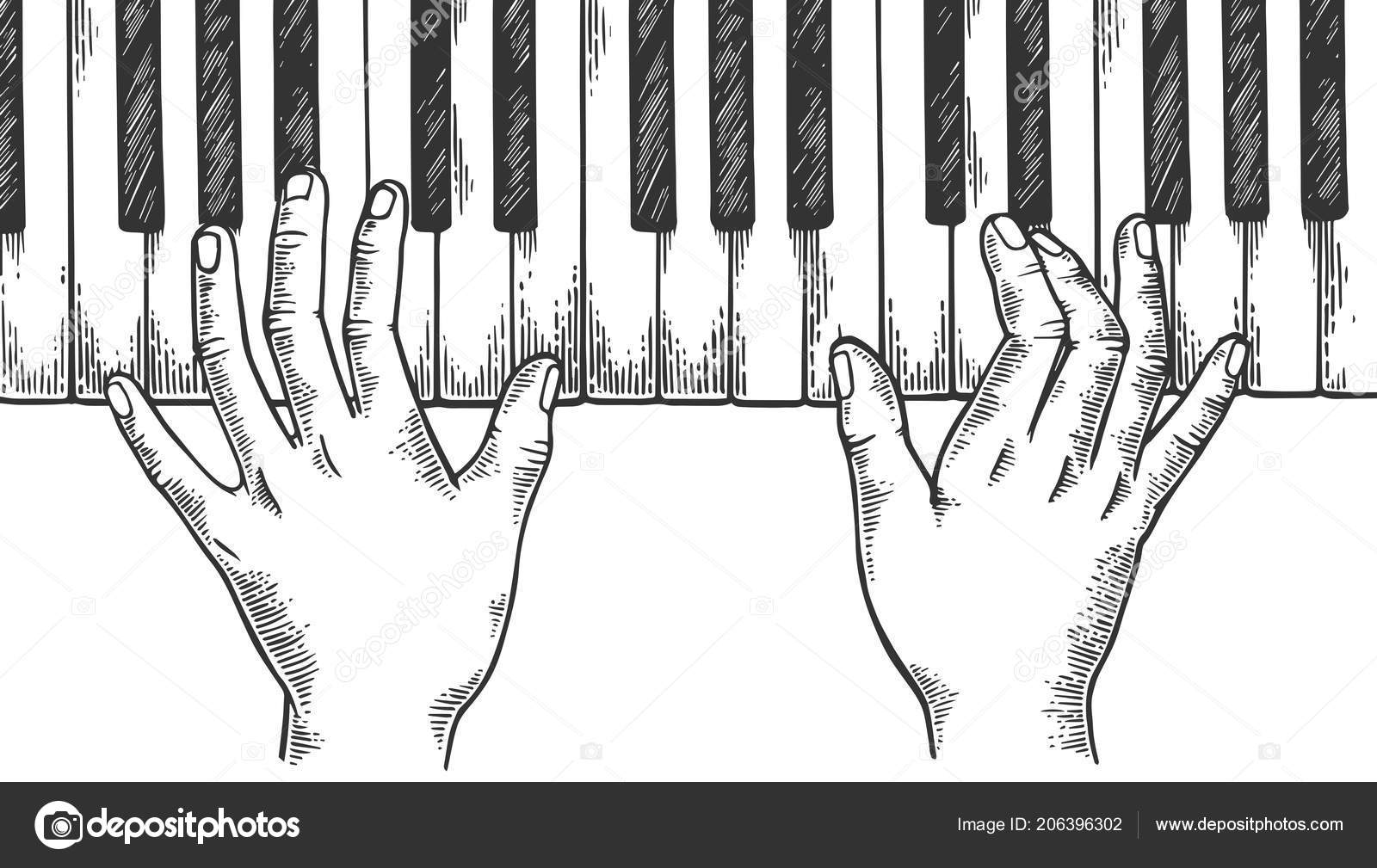 手とピアノ彫刻ベクトル イラスト ストックベクター ©AlexanderPokusay 206396302, image size:1600x1009
